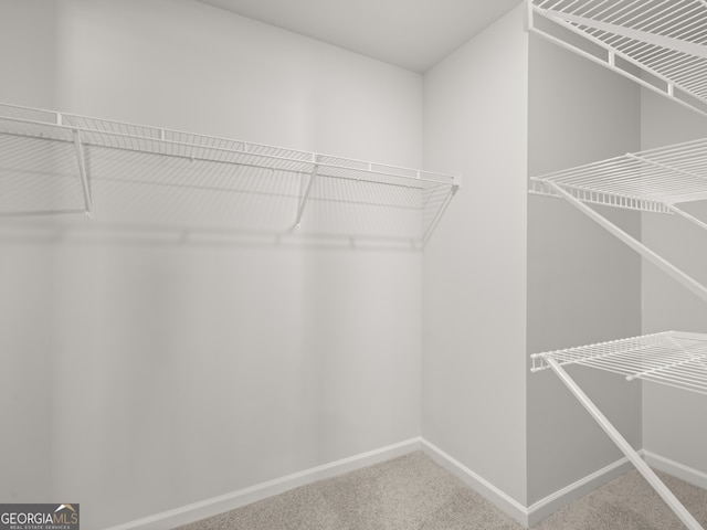 spacious closet featuring carpet floors