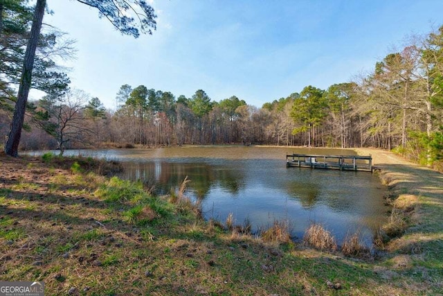 water view with a wooded view