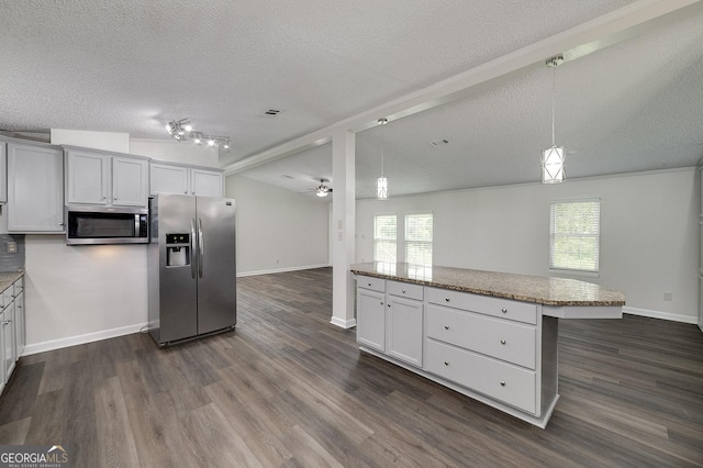 kitchen with stainless steel appliances, dark wood-type flooring, and a wealth of natural light