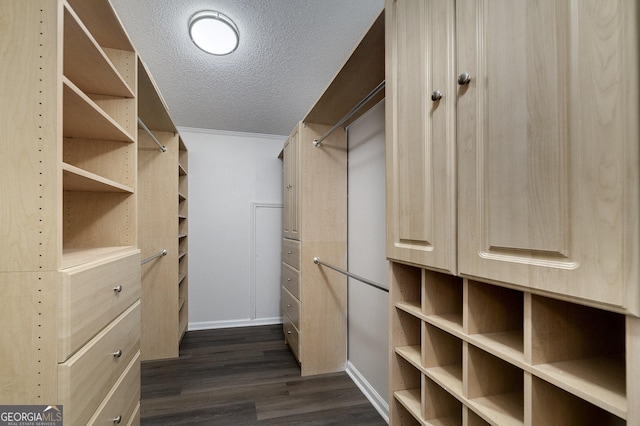 spacious closet featuring dark wood finished floors