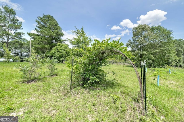 view of landscape