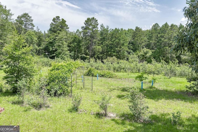 view of yard featuring a wooded view