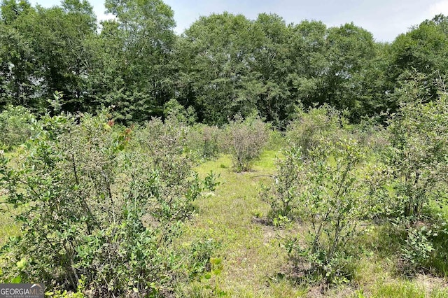 view of landscape with a wooded view