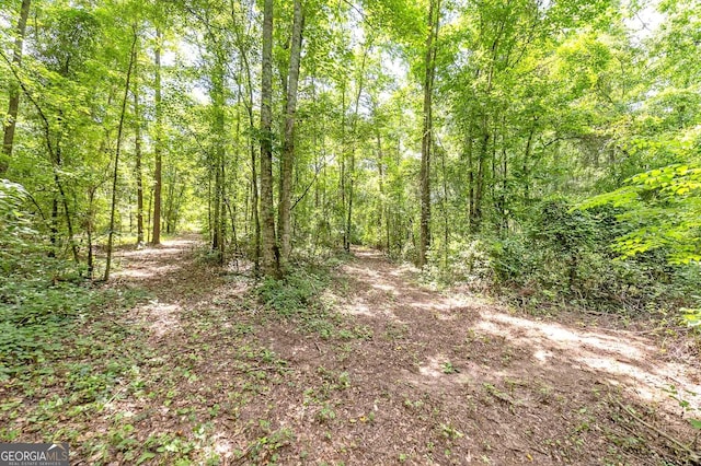 view of local wilderness featuring a view of trees