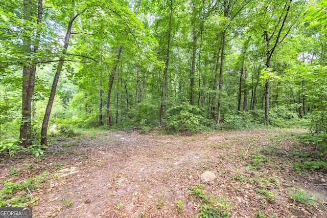 view of local wilderness with a wooded view