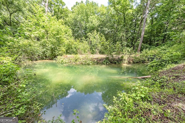 view of water feature with a wooded view