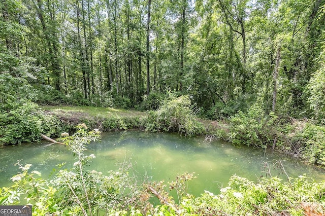 property view of water with a wooded view