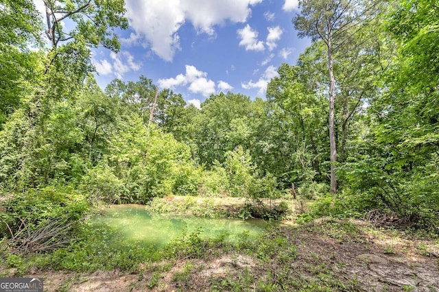 view of nature featuring a wooded view