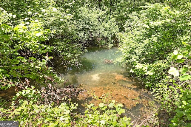 view of landscape with a water view