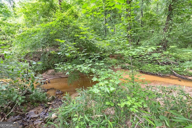 view of nature featuring a forest view