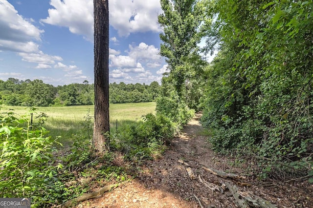 view of nature featuring a view of trees