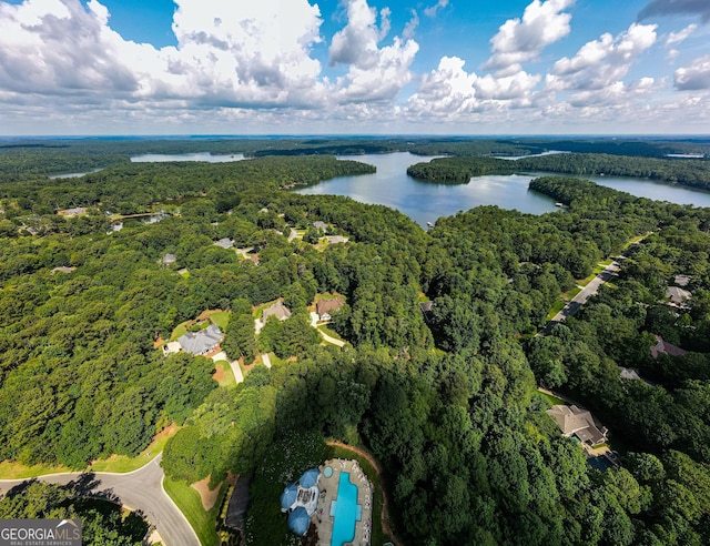 bird's eye view featuring a water view and a wooded view