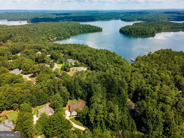 bird's eye view featuring a water view and a forest view