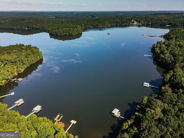 bird's eye view featuring a water view and a view of trees