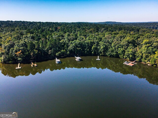 drone / aerial view with a water view and a forest view