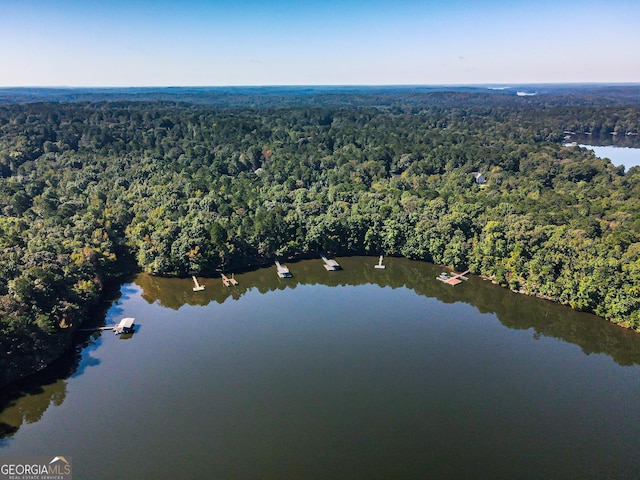 drone / aerial view with a water view and a wooded view