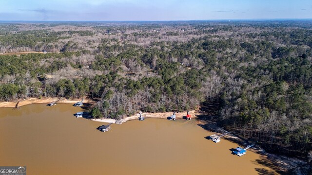 drone / aerial view featuring a water view and a wooded view