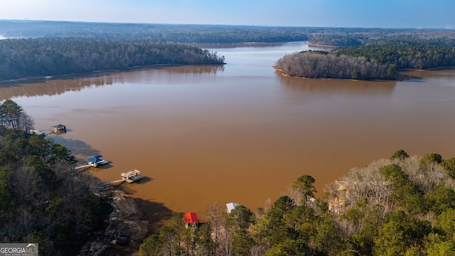 bird's eye view with a water view and a view of trees