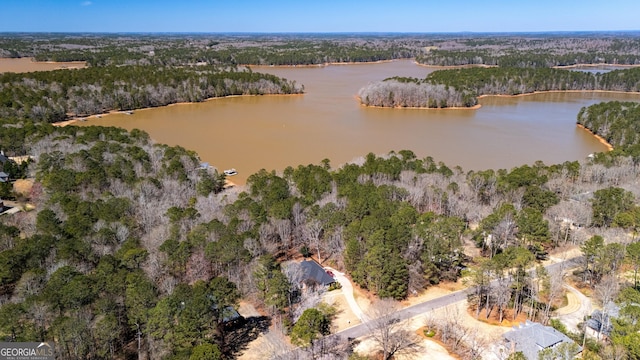 bird's eye view featuring a water view and a view of trees