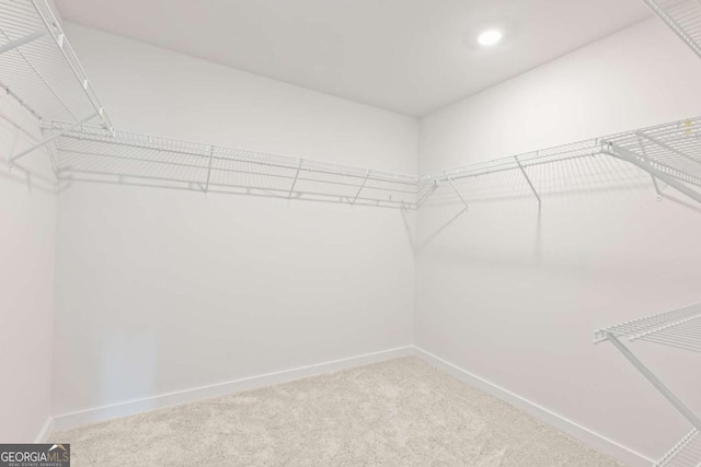 spacious closet with carpet floors