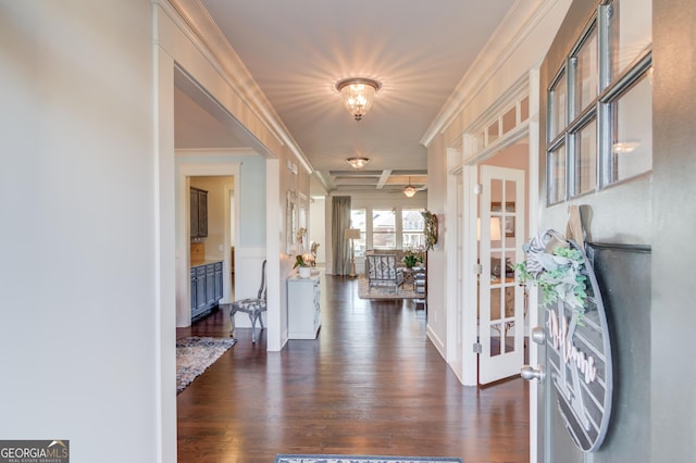 entryway featuring dark wood finished floors and crown molding