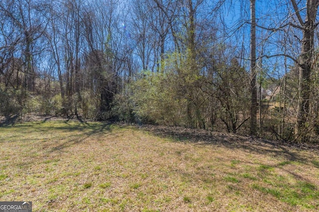 11139 Silver Aspen Ct, Hampton, GA 30228 - view of grassy yard