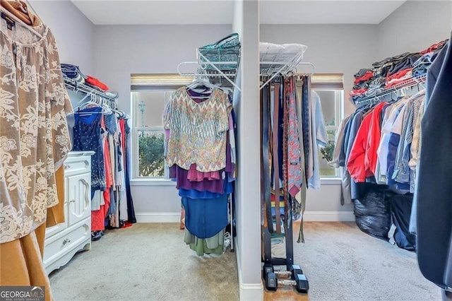 walk in closet featuring carpet flooring