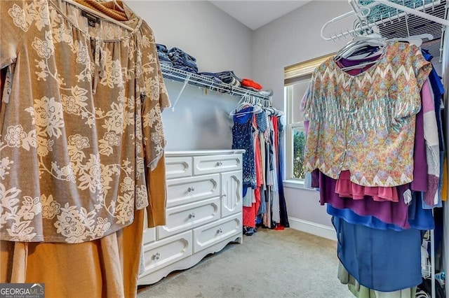 spacious closet with carpet