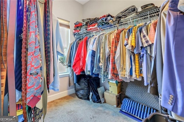 walk in closet with carpet