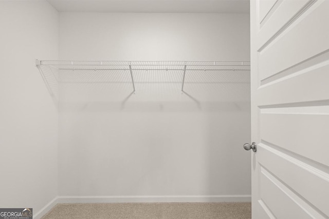 spacious closet with carpet floors