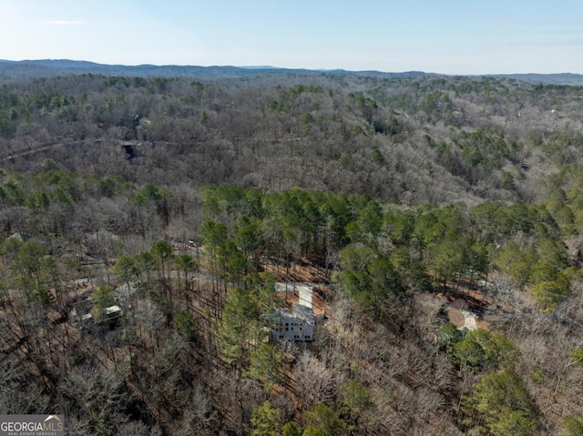 544 Lemmon Ln, Ellijay, GA 30540 - aerial view featuring a mountain view and a wooded view