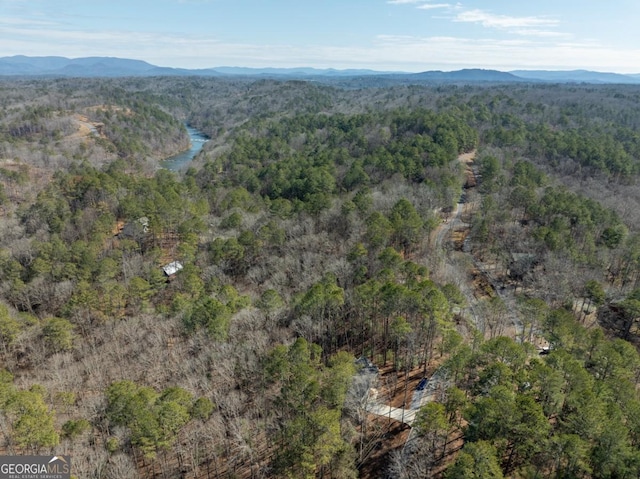 544 Lemmon Ln, Ellijay, GA 30540 - drone / aerial view featuring a mountain view and a view of trees