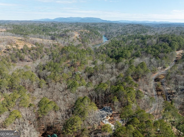 544 Lemmon Ln, Ellijay, GA 30540 - birds eye view of property with a mountain view and a forest view