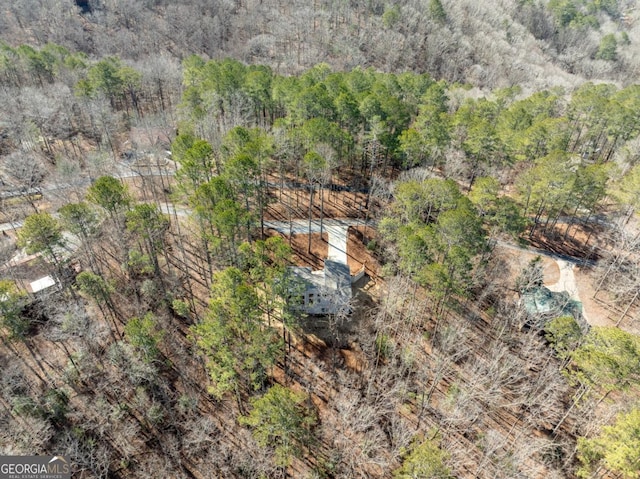 544 Lemmon Ln, Ellijay, GA 30540 - aerial view featuring a forest view