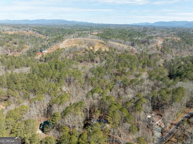 544 Lemmon Ln, Ellijay, GA 30540 - bird's eye view with a mountain view and a wooded view