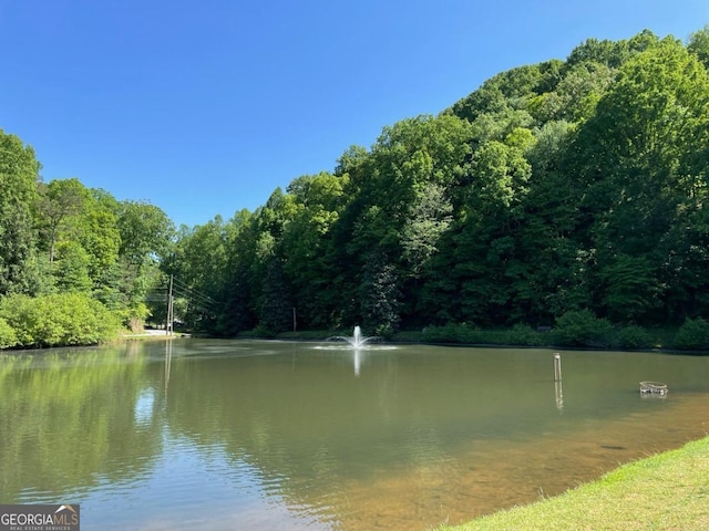 544 Lemmon Ln, Ellijay, GA 30540 - view of water feature with a forest view