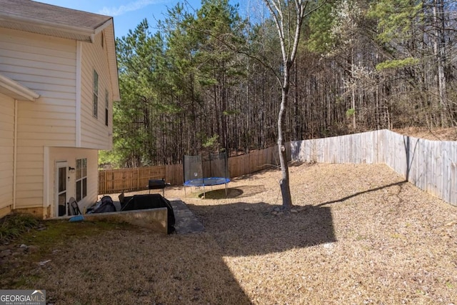 2860 River Close Dr, Decatur, GA 30034 - fenced backyard with a trampoline
