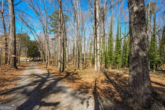 view of road featuring a view of trees