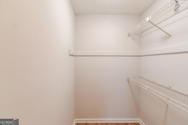 walk in closet featuring wood finished floors