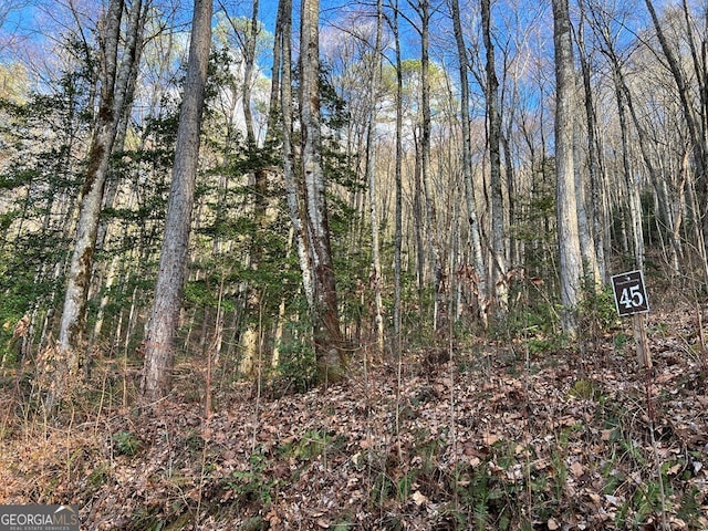 Listing photo 3 for LOT45 Tusquittee Xing, Hayesville NC 28904