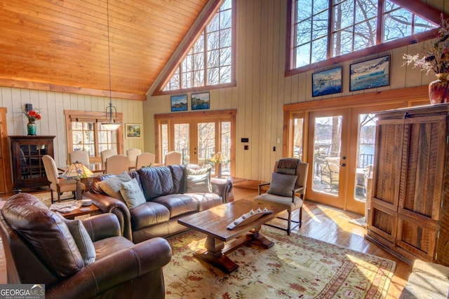 living room featuring a wealth of natural light, wood finished floors, and french doors