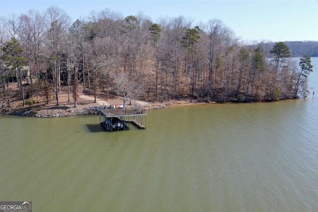 dock area with a water view and a view of trees