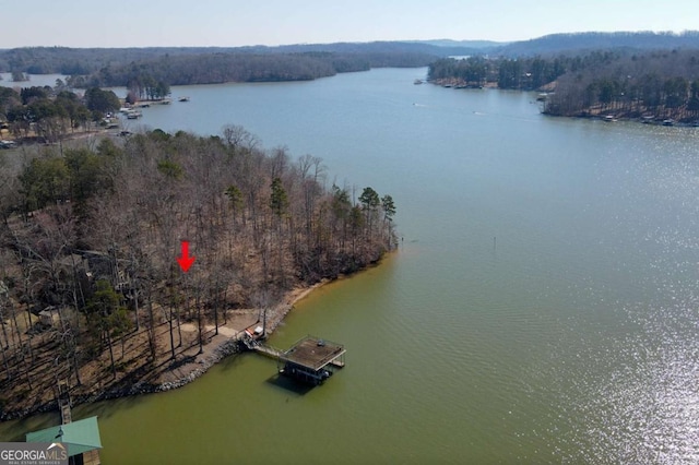 drone / aerial view featuring a water view and a view of trees