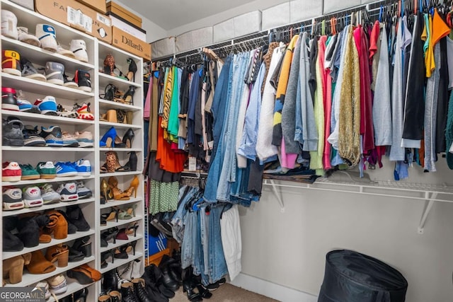 walk in closet with carpet floors