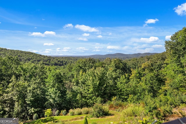 view of mountain feature featuring a view of trees