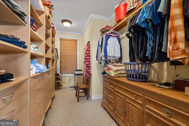 view of walk in closet