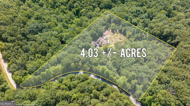 bird's eye view with a view of trees