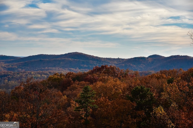 mountain view featuring a view of trees