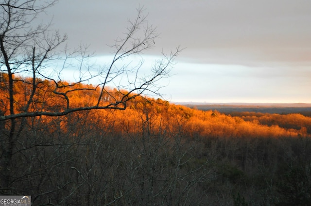 view of mountain feature