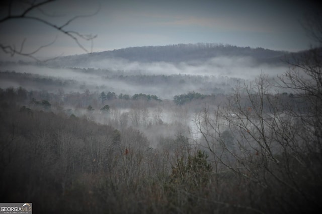 mountain view featuring a forest view